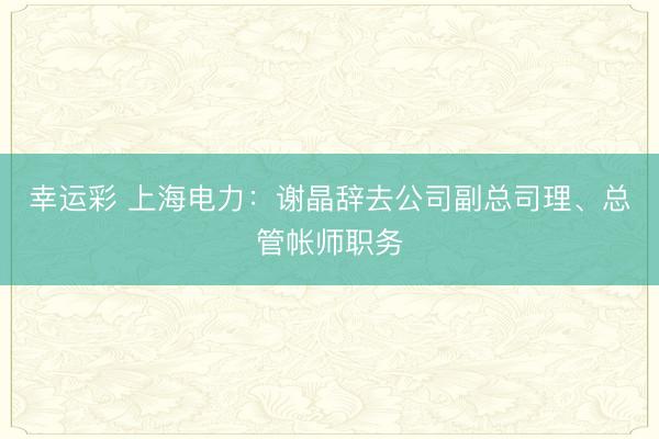 幸运彩 上海电力：谢晶辞去公司副总司理、总管帐师职务