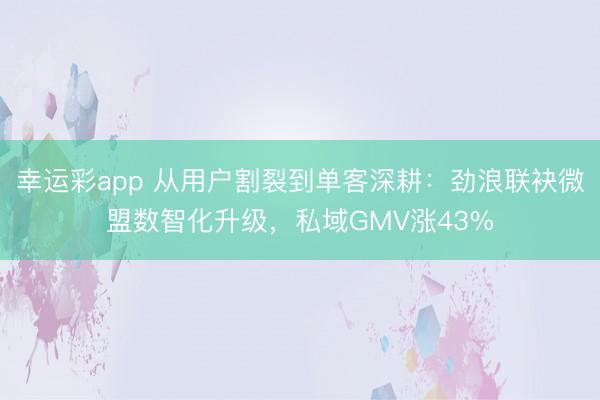 幸运彩app 从用户割裂到单客深耕：劲浪联袂微盟数智化升级，私域GMV涨43%