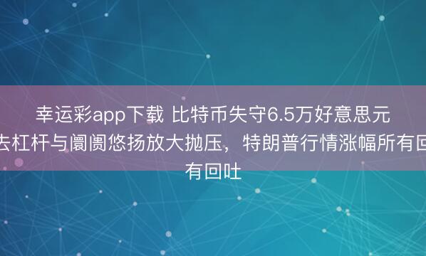 幸运彩app下载 比特币失守6.5万好意思元，去杠杆与阛阓悠扬放大抛压，特朗普行情涨幅所有回吐