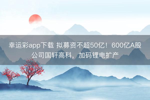 幸运彩app下载 拟募资不超50亿！600亿A股公司国轩高科，加码锂电扩产