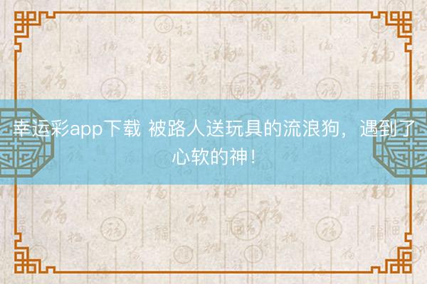 幸运彩app下载 被路人送玩具的流浪狗，<a href=
