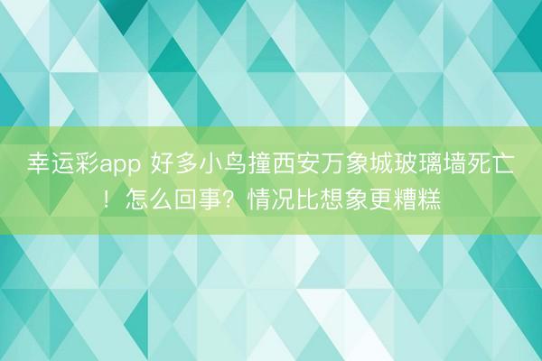 幸运彩app 好多小鸟撞西安万象城玻璃墙死亡！怎么回事？情况比想象更糟糕