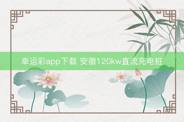 幸运彩app下载 安徽120kw直流充电桩