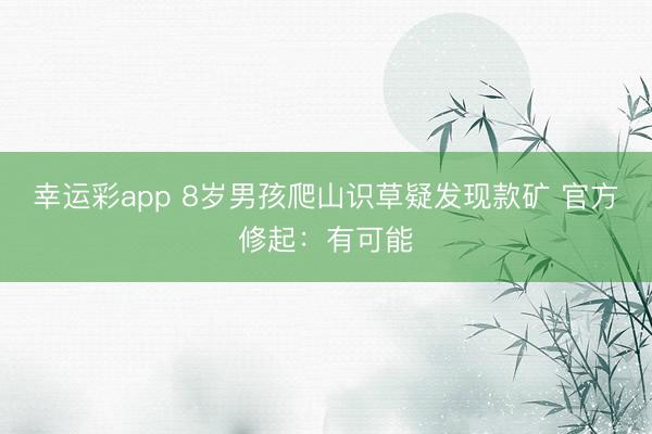 幸运彩app 8岁男孩爬山识草疑发现款矿 官方修起：有可能