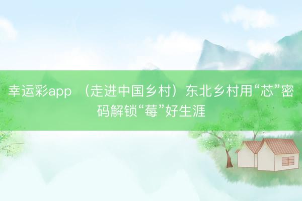 幸运彩app （走进中国乡村）东北乡村用“芯”密码解锁“莓”好生涯