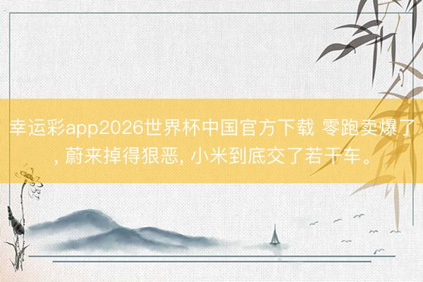 幸运彩app2026世界杯中国官方下载 零跑卖爆了, 蔚来掉得狠恶, 小米到底交了若干车。