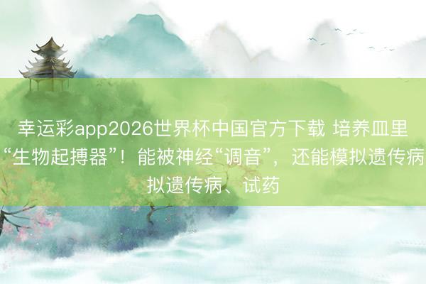 幸运彩app2026世界杯中国官方下载 培养皿里“长”出“生物起搏器”！能被神经“调音”，还能模拟遗传病、试药