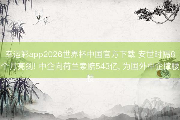 幸运彩app2026世界杯中国官方下载 安世时隔8个月亮剑! 中企向荷兰索赔543亿, 为国外中企撑腰