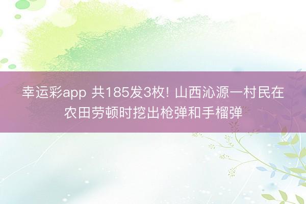 幸运彩app 共185发3枚! 山西沁源一村民在农田劳顿时挖出枪弹和手榴弹