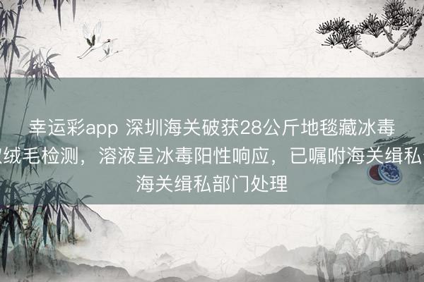 幸运彩app 深圳海关破获28公斤地毯藏冰毒案！截取绒毛检测，溶液呈冰毒阳性响应，已嘱咐海关缉私部门处理