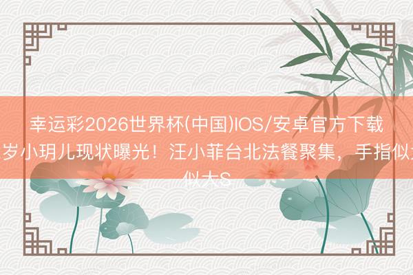 幸运彩2026世界杯(中国)IOS/安卓官方下载 12岁小玥儿现状曝光！汪小菲台北法餐聚集，手指似大S